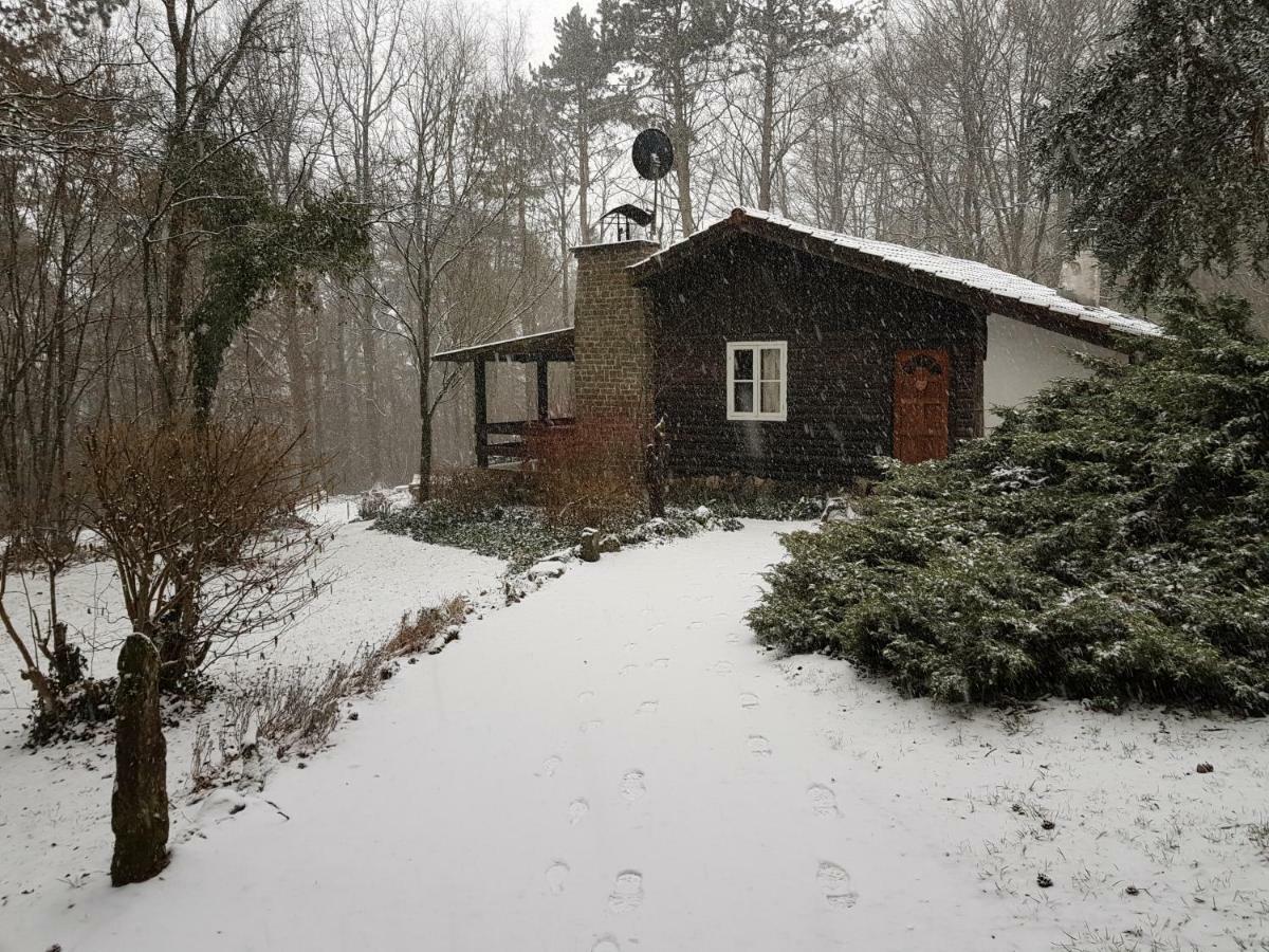Chalet des pins d'Autriche Comblain-Fairon Exterior foto